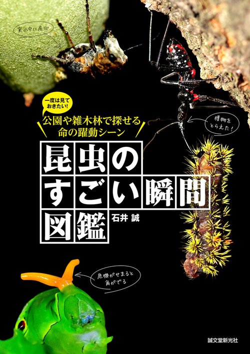 昆虫のすごい瞬間図鑑 一度は見ておきたい!公園や雑木林で探せる命の躍動シーン