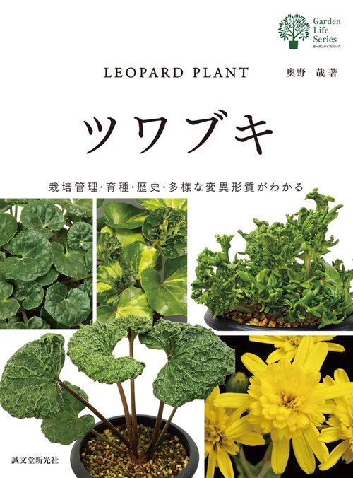 ツワブキ 栽培管理・育種・歴史・多様な変異形質がわかる