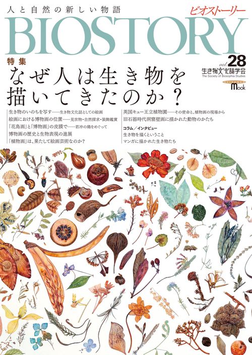 BIOSTORY 28