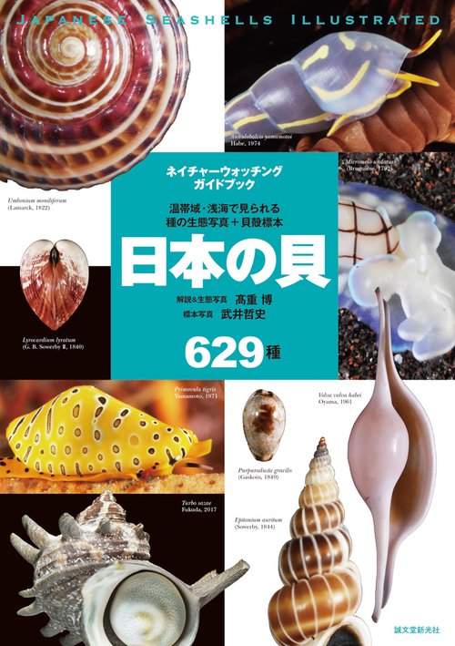 日本の貝