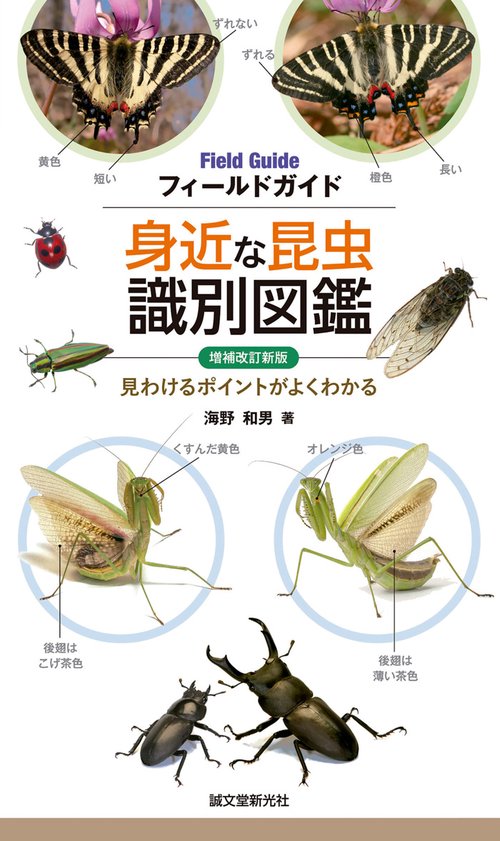 フィールドガイド身近な昆虫識別図鑑 見わけるポイントがよくわかる