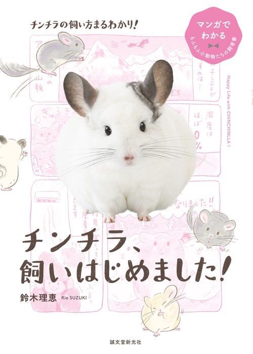 チンチラ、飼いはじめました！