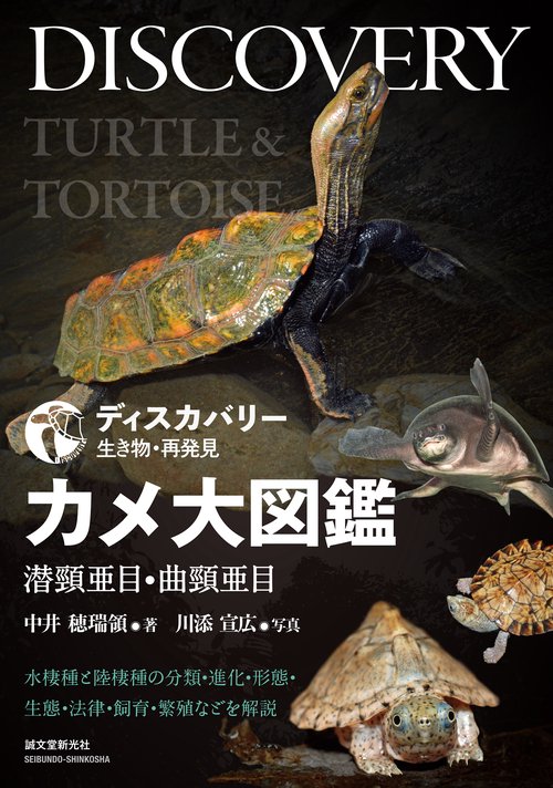 カメ大図鑑 潜頸亜目・曲頸亜目