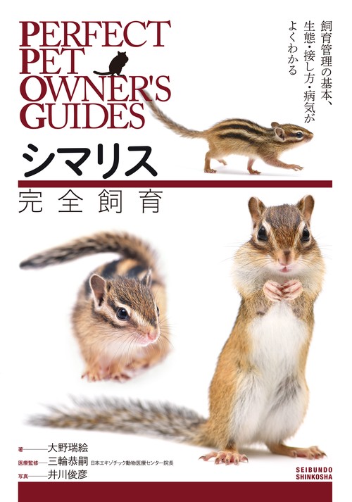 シマリス完全飼育