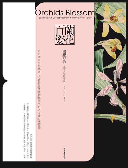 蘭花百姿　東京大学植物画コレクションより