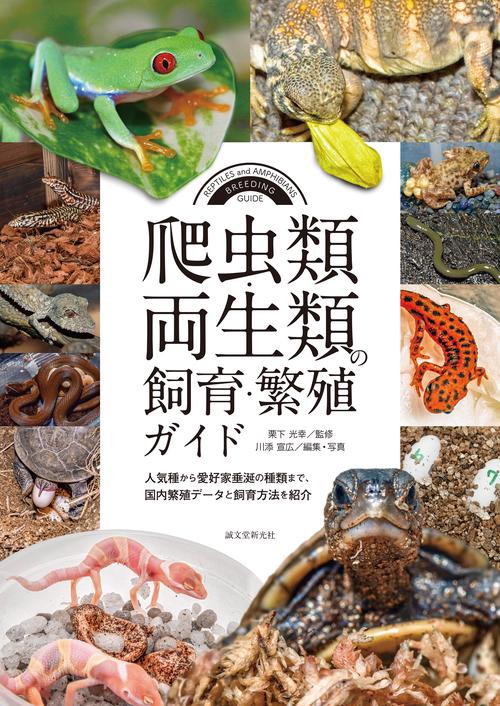 爬虫類・両生類の飼育・繁殖ガイド