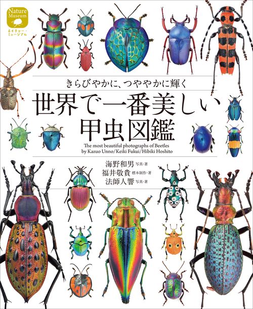 世界で一番美しい甲虫図鑑　