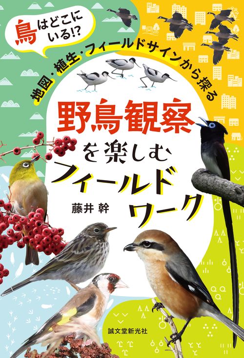 野鳥観察を楽しむフィールドワーク
