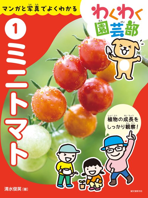 ミニトマト