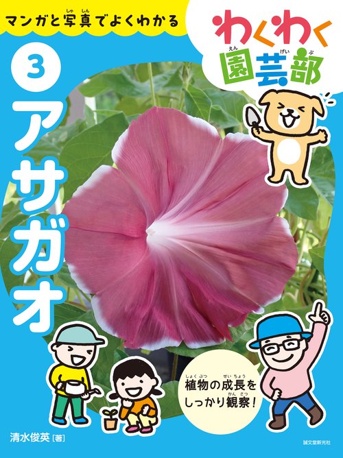 アサガオ