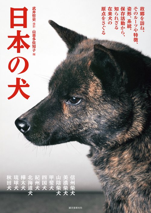 日本の犬