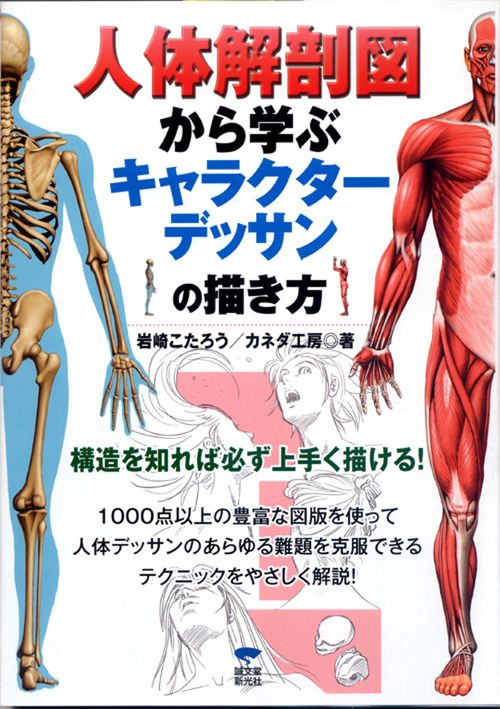 人体解剖図から学ぶキャラクターデッサンの描き方