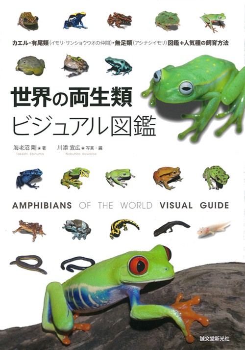 世界の両生類ビジュアル図鑑 カエル・有尾類〈イモリ・サンショウウオの仲間〉・無足類〈アシナシイモリ〉図鑑+人気種の飼育方法