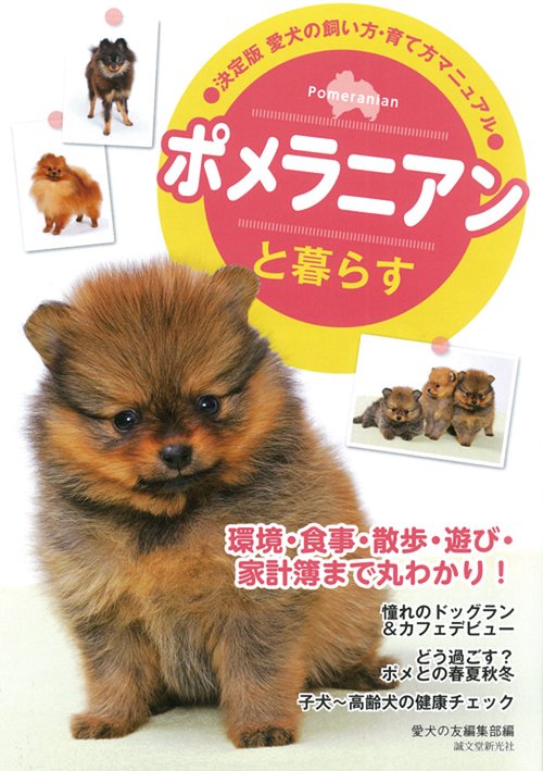ポメラニアンと暮らす
