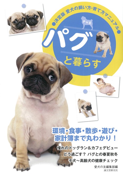 パグと暮らす