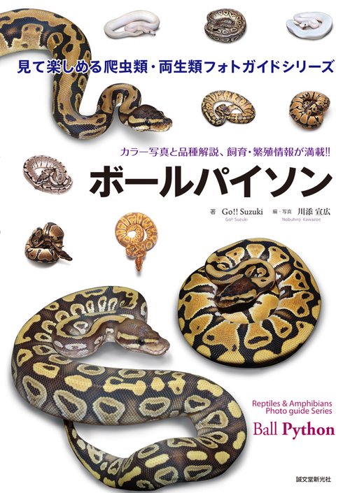 ボールパイソン カラー写真と品種解説、飼育・繁殖情報が満載!!