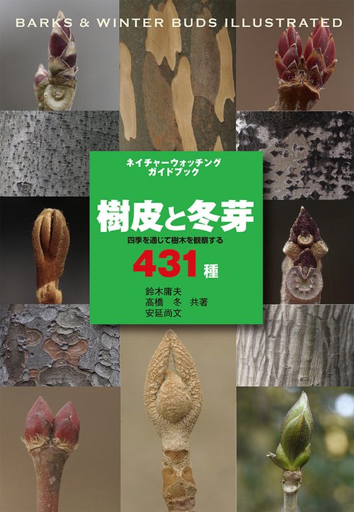 樹皮と冬芽 四季を通じて樹木を観察する431種