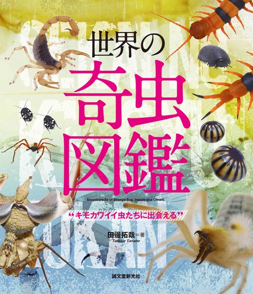 世界の奇虫図鑑 キモカワイイ虫たちに出会える