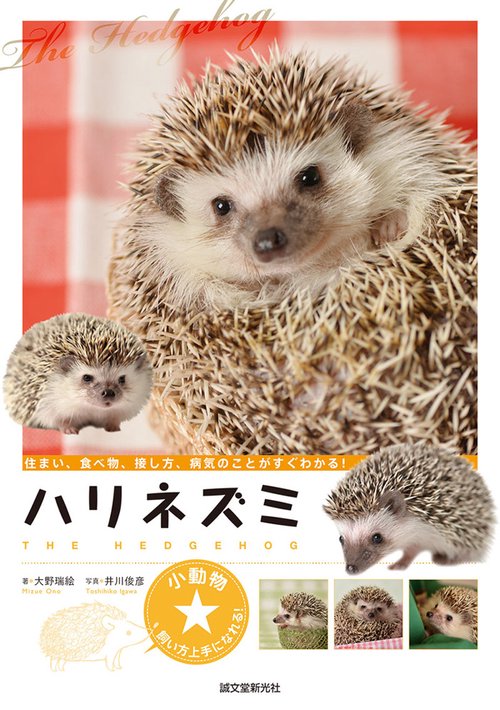 ハリネズミ 住まい、食べ物、接し方、病気のことがすぐわかる!