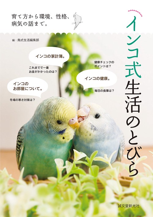 インコ式生活のとびら 育て方から環境、性格、病気の話まで。