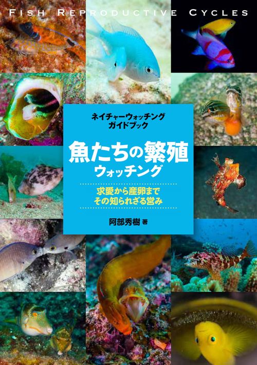 魚たちの繁殖ウォッチング 求愛から産卵まで、その知られざる営み