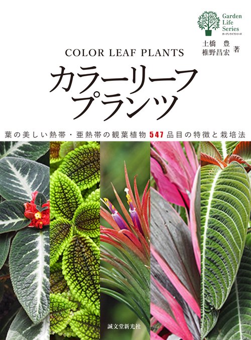 カラーリーフプランツ 葉の美しい熱帯・亜熱帯の観葉植物547品目の特徴と栽培法