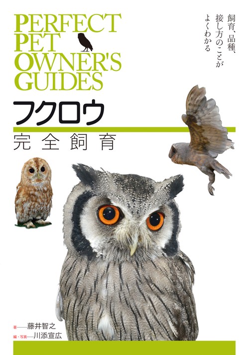 フクロウ完全飼育 飼育、品種、接し方のことがよくわかる