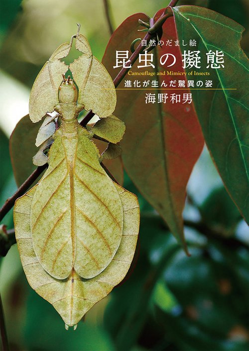 昆虫の擬態 自然のだまし絵 進化が生んだ驚異の姿