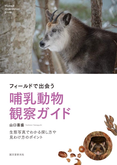 フィールドで出会う哺乳動物観察ガイド 生態写真でわかる探し方や見わけ方のポイント