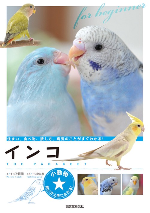 インコ 住まい、食べ物、接し方、病気のことがすぐわかる!