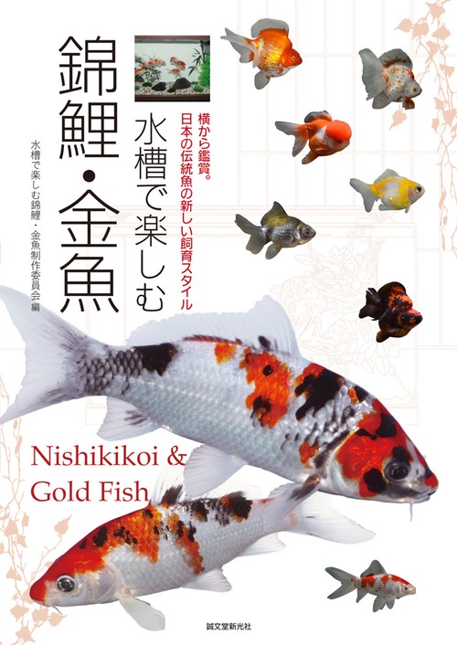水槽で楽しむ錦鯉・金魚 横から鑑賞。日本の伝統魚の新しい飼育スタイル