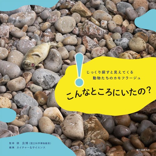 こんなところにいたの? じっくり探すと見えてくる動物たちのカモフラージュ