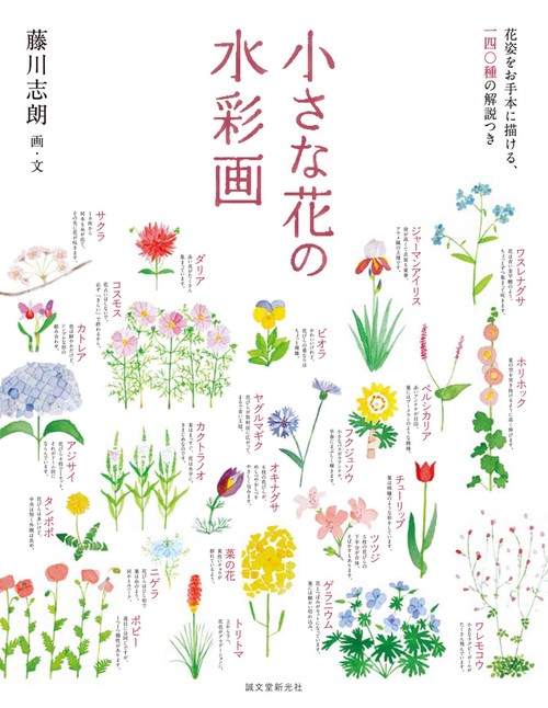 小さな花の水彩画 花姿をお手本に描ける、一四〇種の解説つき