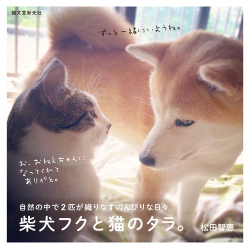 柴犬フクと猫のタラ。 自然の中で2匹が織りなすのんびりな日々