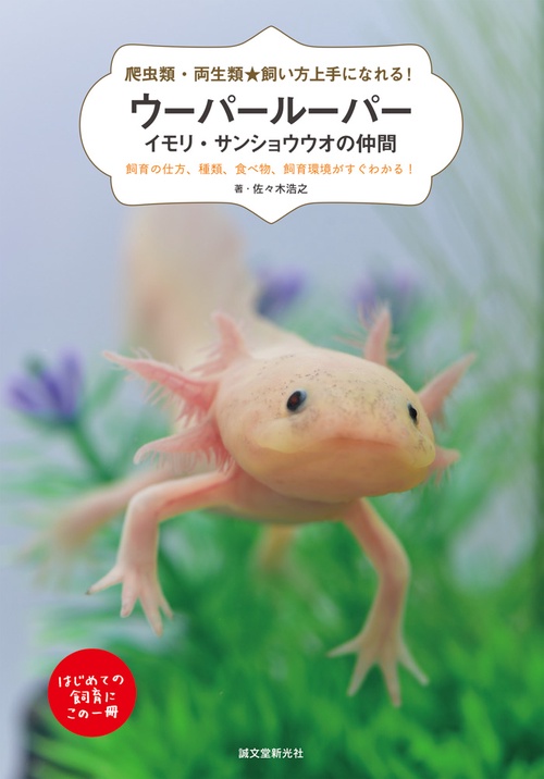 ウーパールーパー・イモリ・サンショウウオの仲間