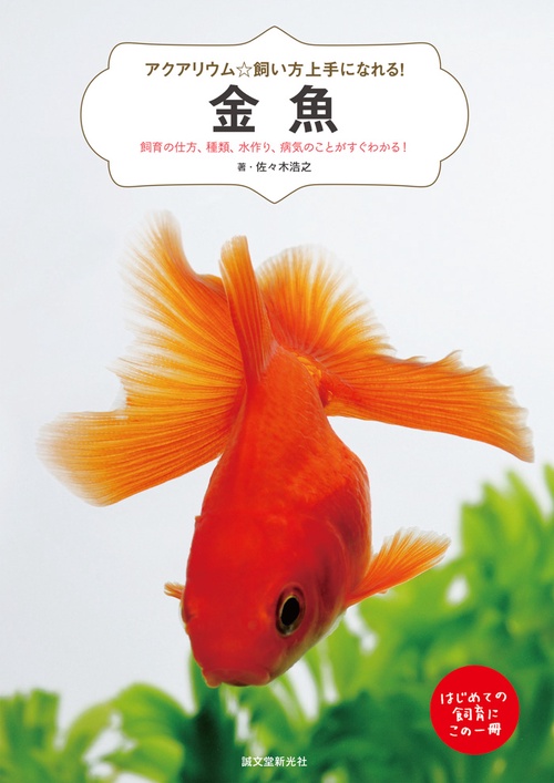 金魚 飼育の仕方、種類、水作り、病気のことがすぐわかる! はじめての飼育にこの一冊