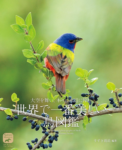 大空を舞い、木々に水辺に佇む世界で一番美しい鳥図鑑