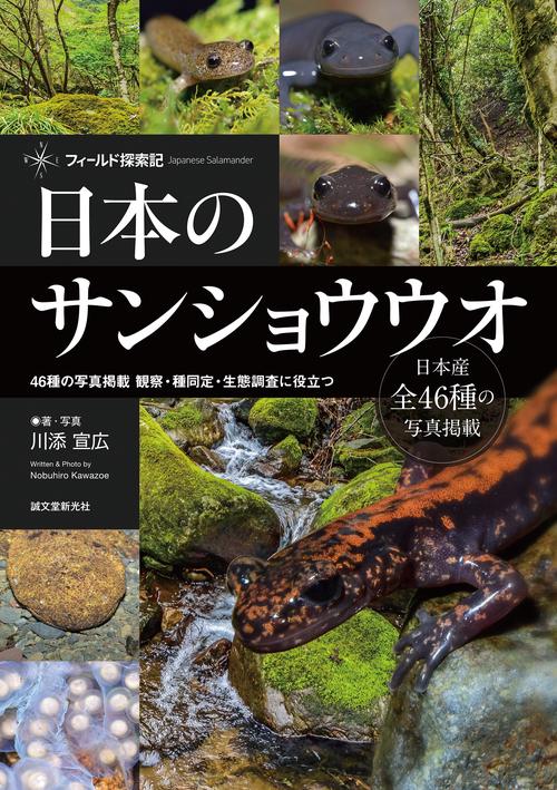 日本のサンショウウオ　