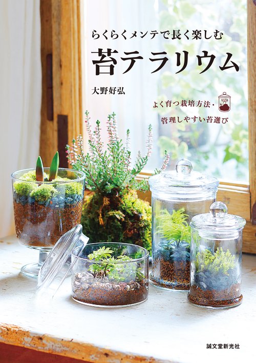 らくらくメンテで長く楽しむ 苔テラリウム
