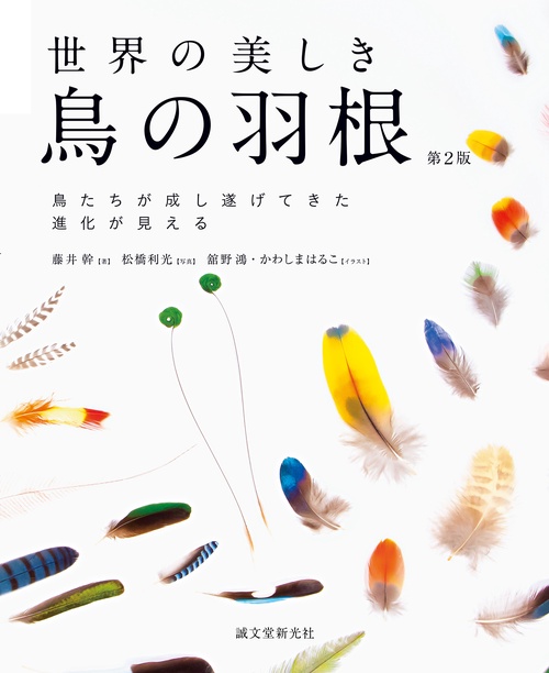 世界の美しき鳥の羽根 第2版