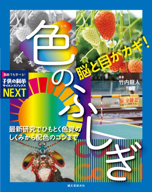 脳と目がカギ！ 色のふしぎ