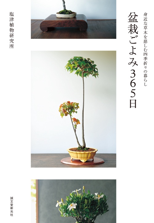 盆栽ごよみ365日