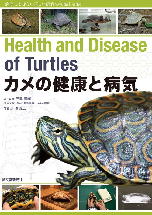 カメの健康と病気