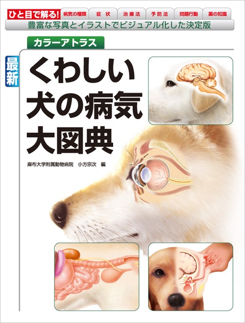 最新　くわしい犬の病気大図典