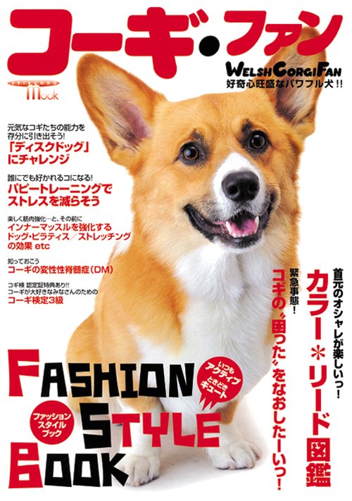 コーギ・ファン 好奇心旺盛なパワフル犬!!