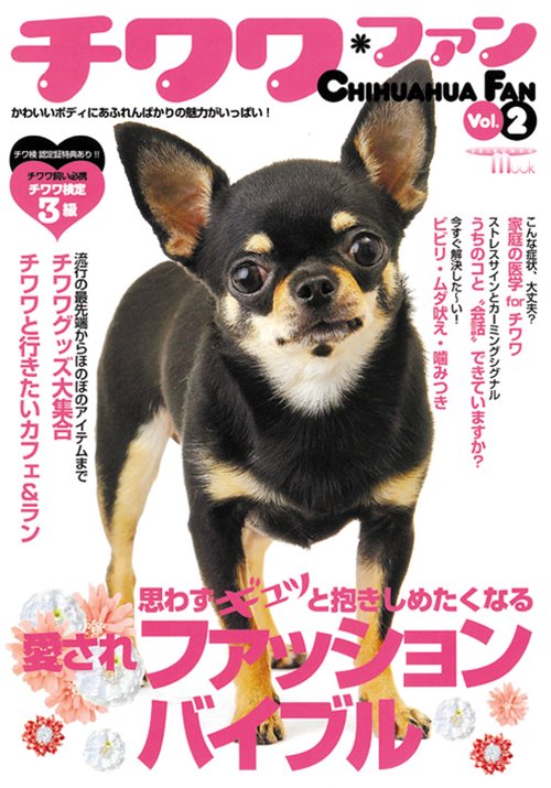 チワワ・ファン かわいいボディにあふれんばかりの魅力がいっぱい! Vol.2