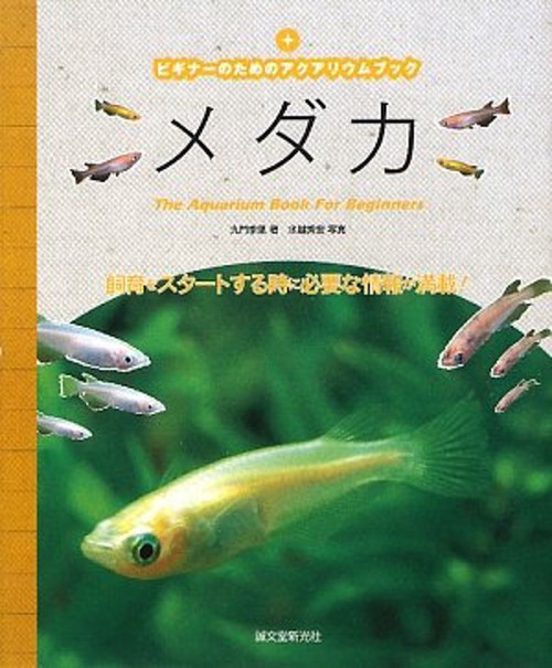 メダカ 飼育をスタートする時に必要な情報が満載!