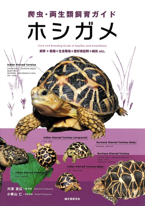 ホシガメ 飼育+繁殖+生息環境+愛好家訪問+病気etc.