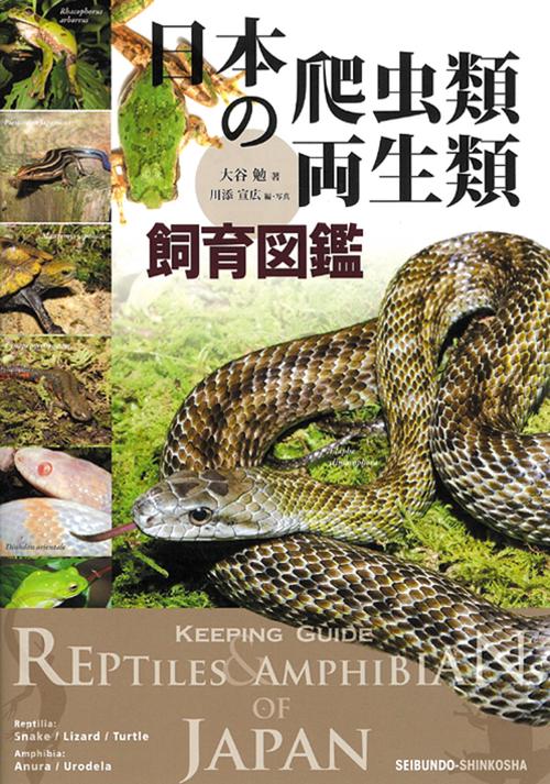 日本の爬虫類・両生類飼育図鑑