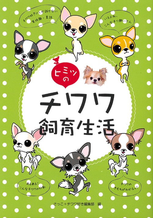 ヒミツのチワワ飼育生活